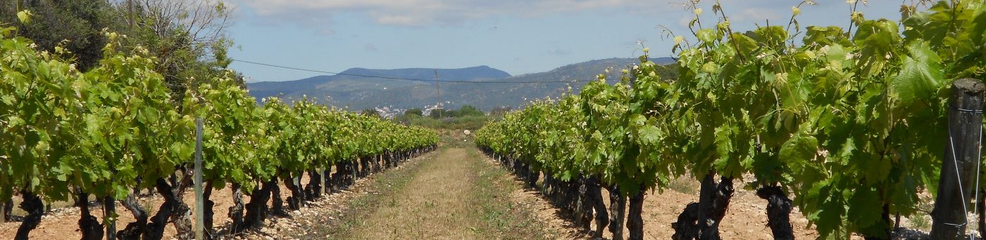 Josep Rossell i rebeca olle Finca Mas Perdut