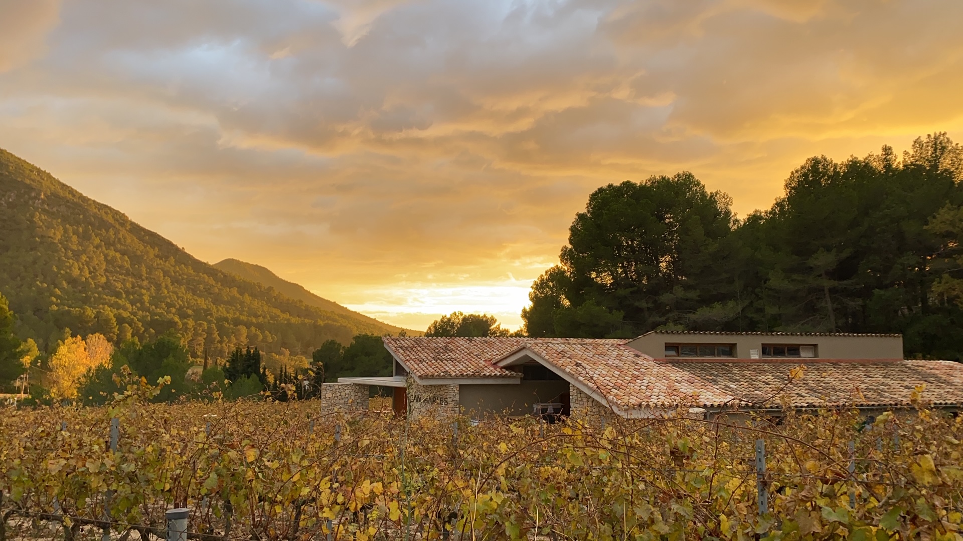 Can Marlès TARDOR