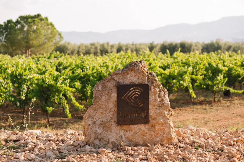Vins L'Apical