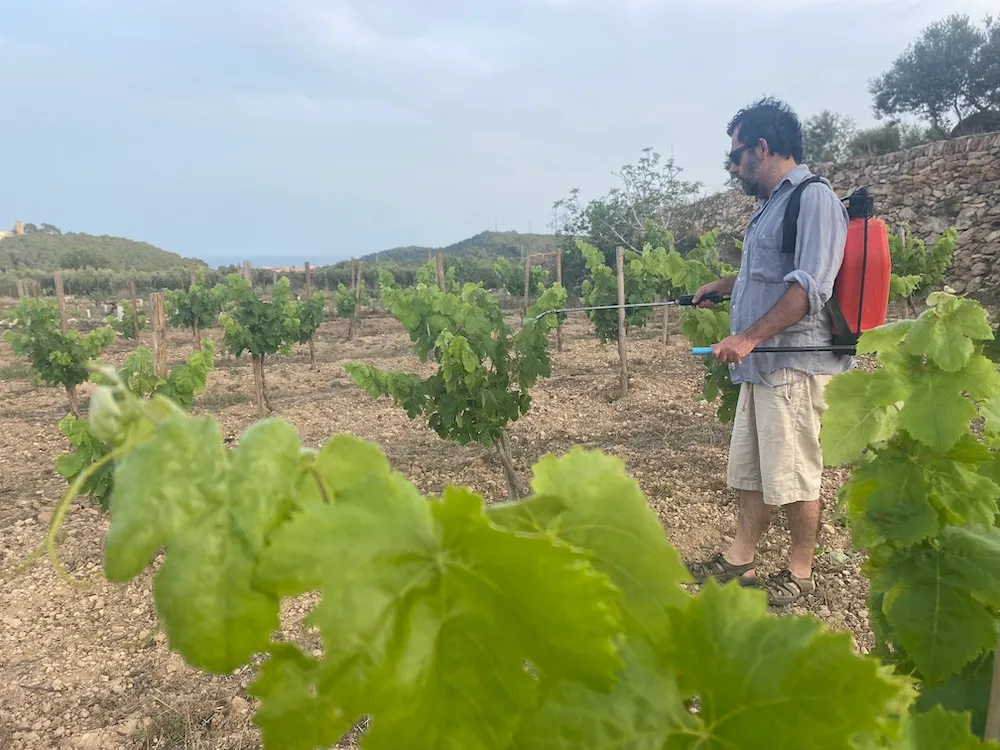Oidà Vins Naturals