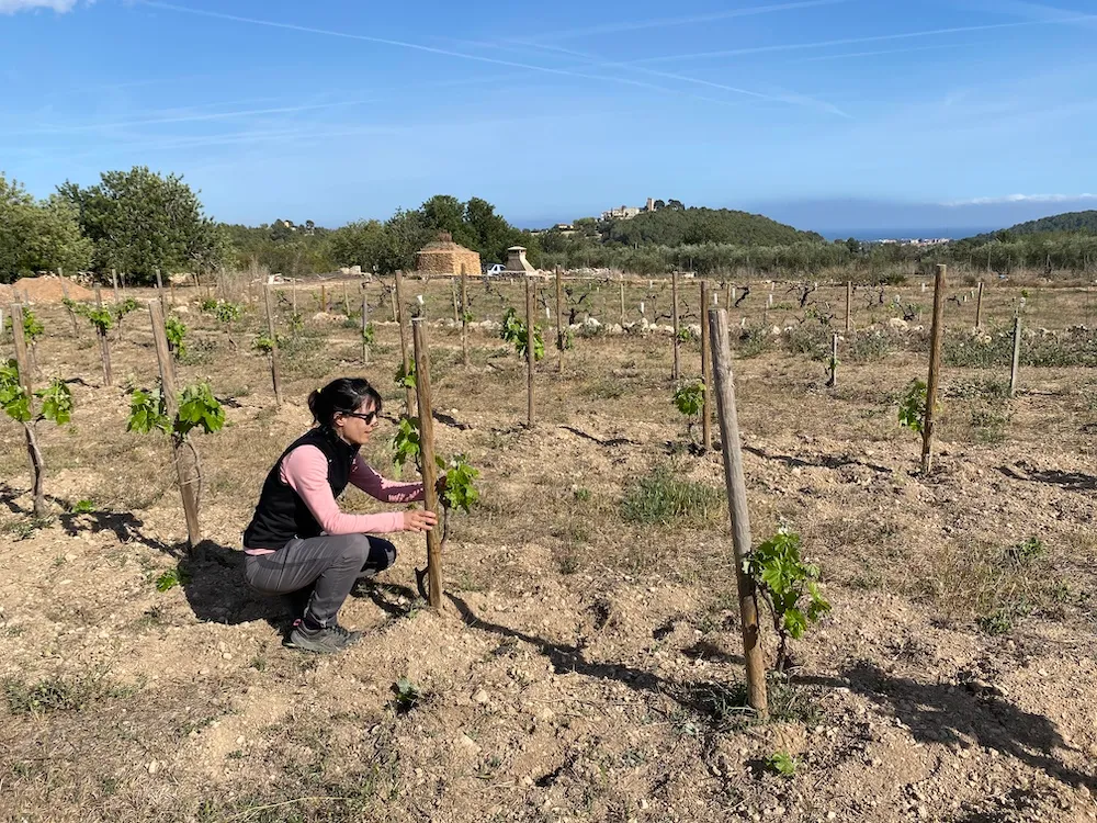 Oidà Vins Naturals