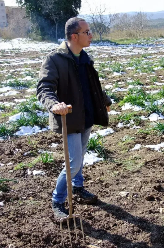 Jaume Solé