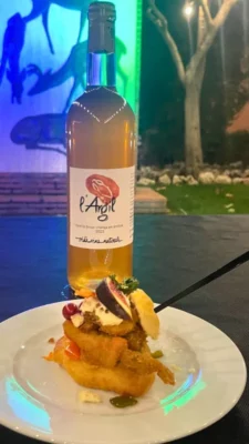 Fira de Sta Teresa 2025