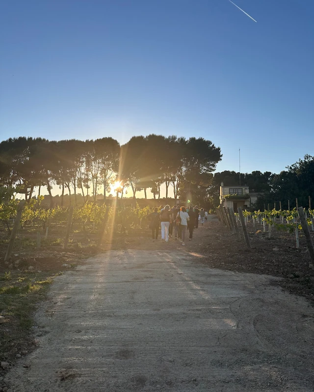 trobada gastronomica steack tartar i camp del ganivet